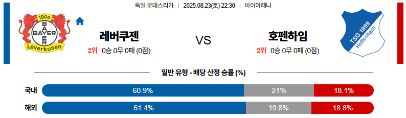픽대디 해외축구 경기분석 | 레버쿠젠 vs 호펜하임
