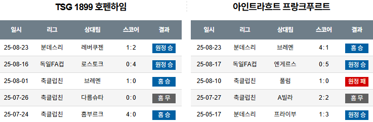 픽대디 해외축구 경기분석 | 호펜하임 vs 프랑크푸르트