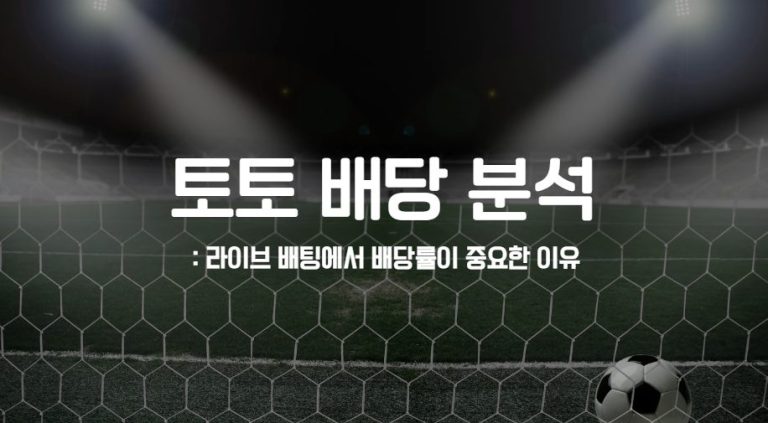 토토 배당 분석
